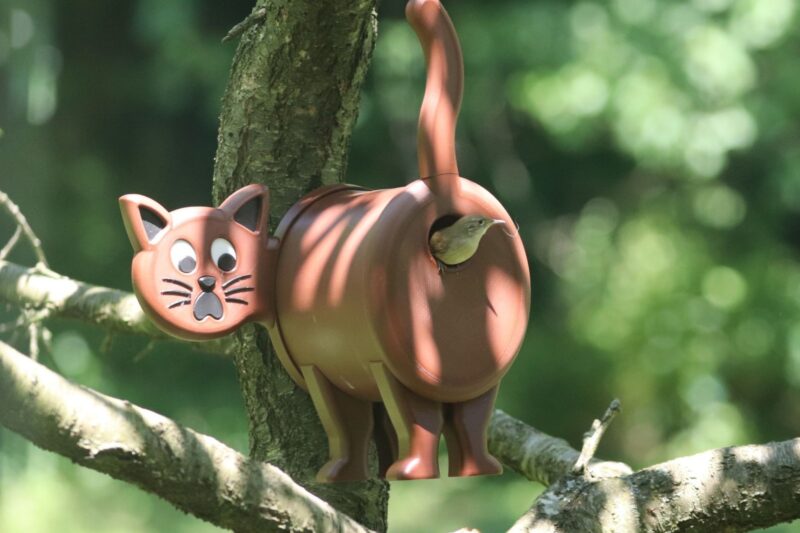 Vogelhaus, Nistkasten die Katze – Bild 2