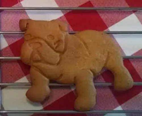 Ausstechform Englische Bulldogge – Detailansicht