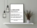 Definition Labrador Poster
