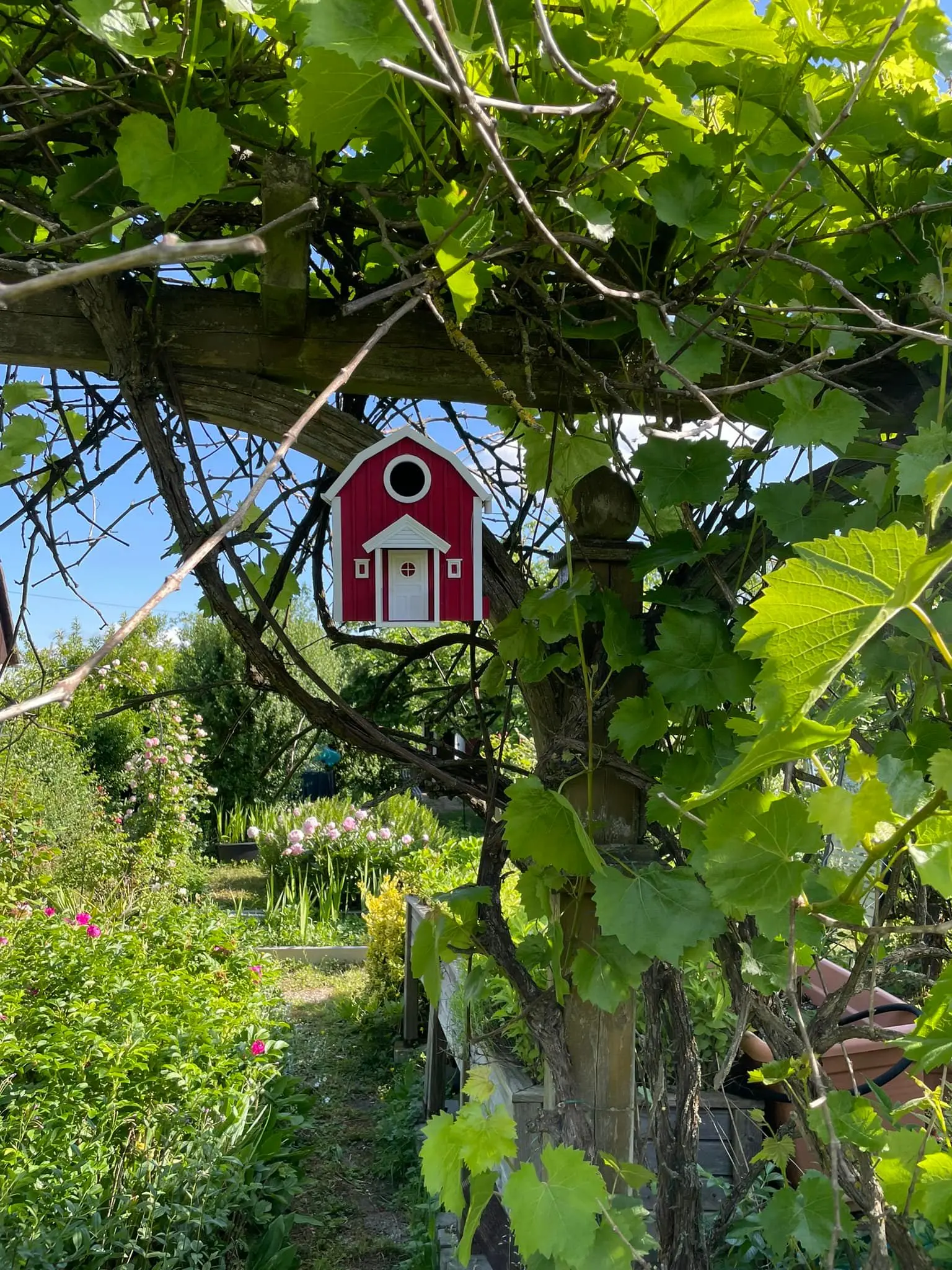 Vogelhaus/Nistkasten Schwedenhaus im Garten